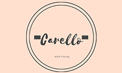 Carello Mold Testing - Mold Services